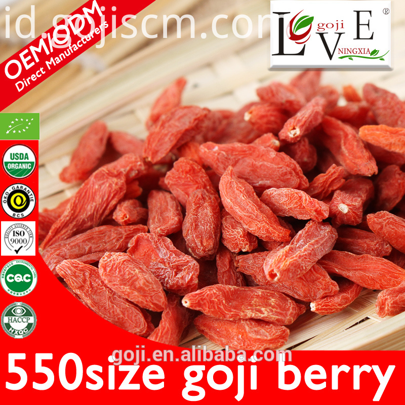 550granule EU Certificate Goji Berry Kering 550granule EU Certificate Dried Goji Berry